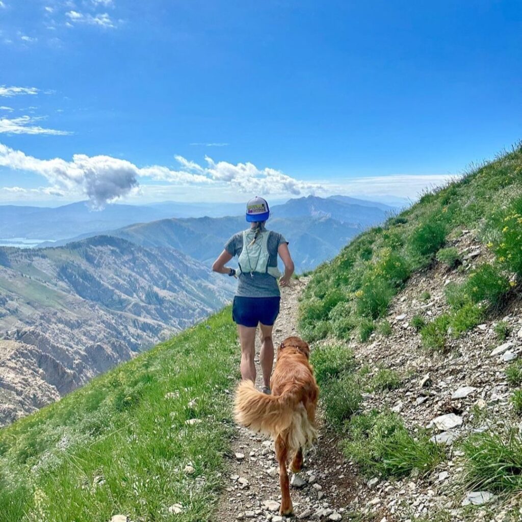 Instagram post from lacportfolio. This post is in position 12.