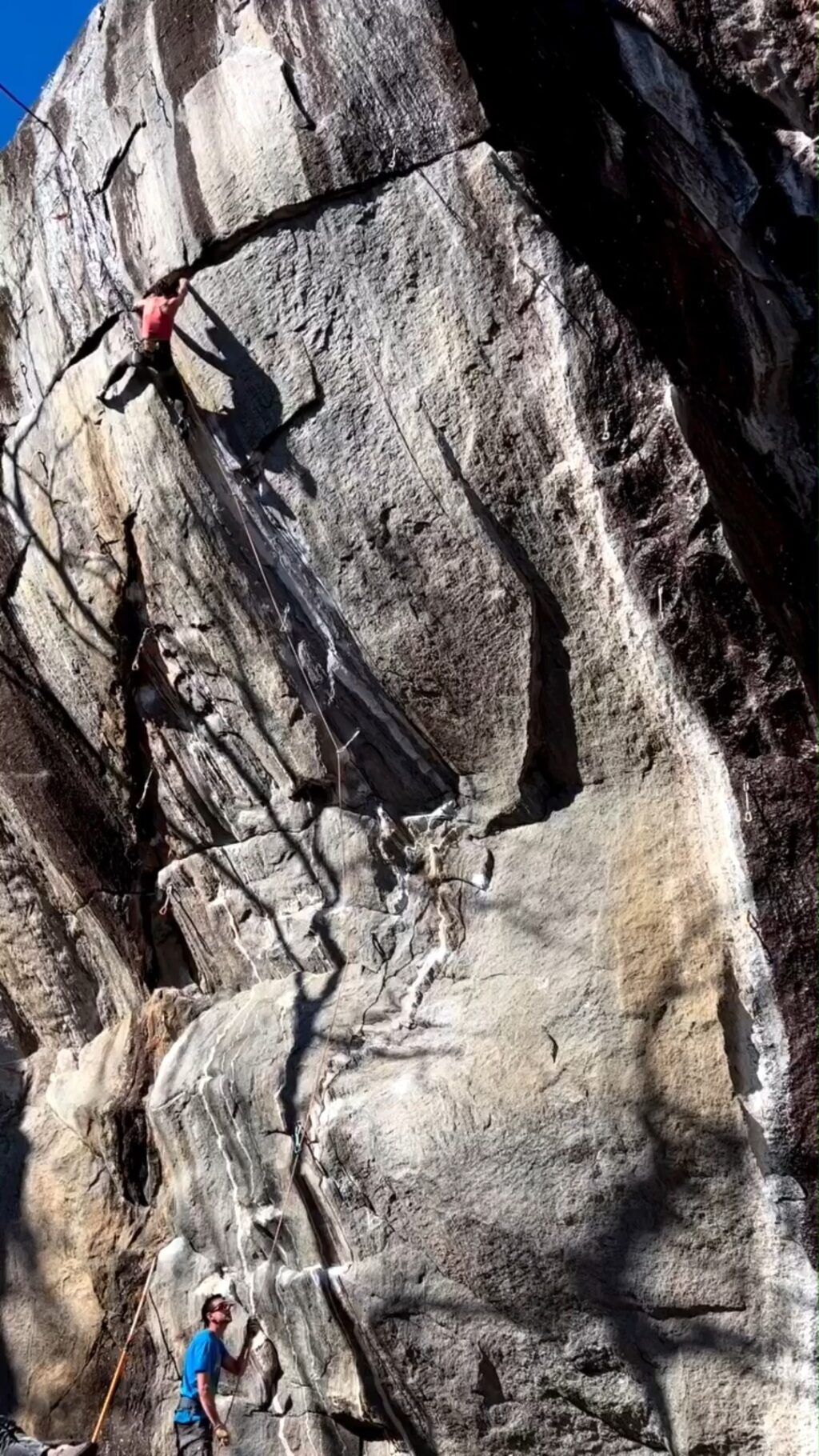 Instagram post from lacportfolio. This post is in position 11.