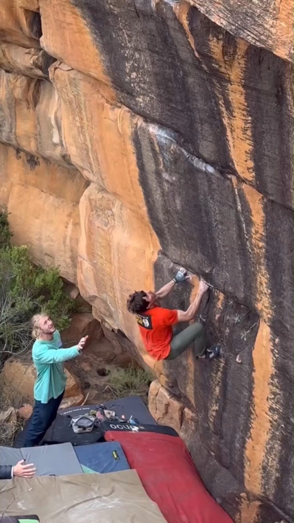 Instagram post from lacportfolio. This post is in position 5.